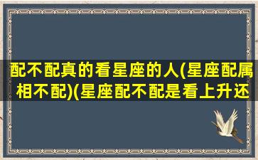 配不配真的看星座的人(星座配属相不配)(星座配不配是看上升还是太阳)