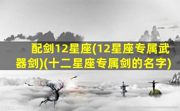 配剑12星座(12星座专属武器剑)(十二星座专属剑的名字)