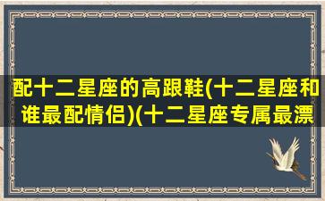 配十二星座的高跟鞋(十二星座和谁最配情侣)(十二星座专属最漂亮的高跟鞋)