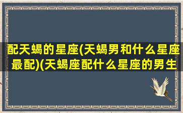 配天蝎的星座(天蝎男和什么星座最配)(天蝎座配什么星座的男生最合适)