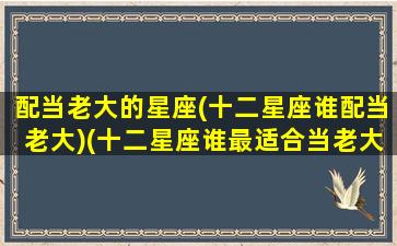 配当老大的星座(十二星座谁配当老大)(十二星座谁最适合当老大排名)