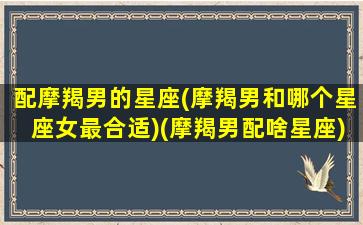 配摩羯男的星座(摩羯男和哪个星座女最合适)(摩羯男配啥星座)