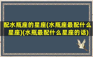 配水瓶座的星座(水瓶座最配什么星座)(水瓶最配什么星座的话)