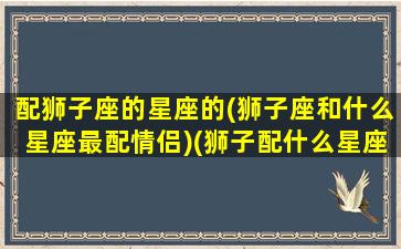 配狮子座的星座的(狮子座和什么星座最配情侣)(狮子配什么星座最合适)