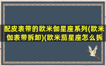 配皮表带的欧米伽星座系列(欧米伽表带拆卸)(欧米茄星座怎么拆钢带)