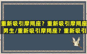 重新吸引摩羯座？重新吸引摩羯座男生/重新吸引摩羯座？重新吸引摩羯座男生-我的网站