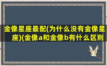 金像星座最配(为什么没有金像星座)(金像a和金像b有什么区别)