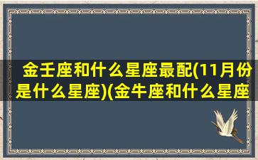 金壬座和什么星座最配(11月份是什么星座)(金牛座和什么星座最配是几月)