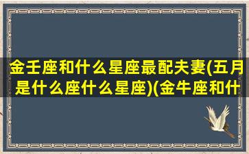 金壬座和什么星座最配夫妻(五月是什么座什么星座)(金牛座和什么星座最配对)