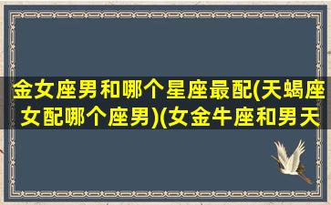 金女座男和哪个星座最配(天蝎座女配哪个座男)(女金牛座和男天蝎星座配吗)