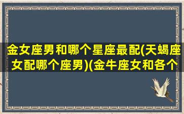 金女座男和哪个星座最配(天蝎座女配哪个座男)(金牛座女和各个星座男)