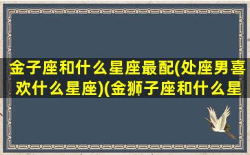 金子座和什么星座最配(处座男喜欢什么星座)(金狮子座和什么星座最配)