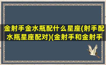 金射手金水瓶配什么星座(射手配水瓶星座配对)(金射手和金射手)