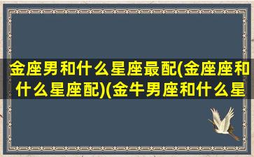 金座男和什么星座最配(金座座和什么星座配)(金牛男座和什么星座最配)