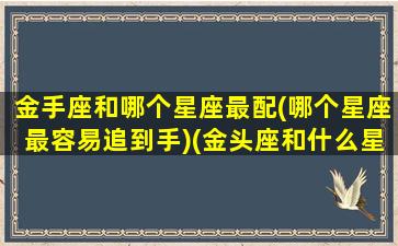 金手座和哪个星座最配(哪个星座最容易追到手)(金头座和什么星座最配)