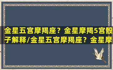 金星五宫摩羯座？金星摩羯5宫骰子解释/金星五宫摩羯座？金星摩羯5宫骰子解释-我的网站