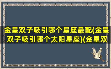 金星双子吸引哪个星座最配(金星双子吸引哪个太阳星座)(金星双子喜欢和不喜欢)