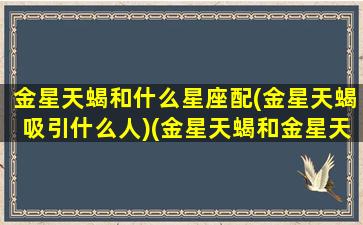 金星天蝎和什么星座配(金星天蝎吸引什么人)(金星天蝎和金星天蝎在一起)