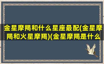 金星摩羯和什么星座最配(金星摩羯和火星摩羯)(金星摩羯是什么相位)