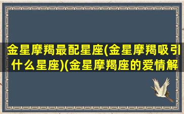 金星摩羯最配星座(金星摩羯吸引什么星座)(金星摩羯座的爱情解析)