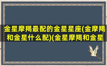 金星摩羯最配的金星星座(金摩羯和金星什么配)(金星摩羯和金星射手配吗)