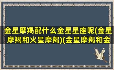 金星摩羯配什么金星星座呢(金星摩羯和火星摩羯)(金星摩羯和金星射手配吗)