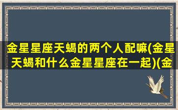 金星星座天蝎的两个人配嘛(金星天蝎和什么金星星座在一起)(金星天蝎另一半是)