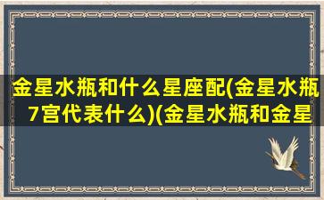 金星水瓶和什么星座配(金星水瓶7宫代表什么)(金星水瓶和金星水瓶合适吗)