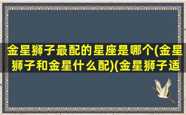 金星狮子最配的星座是哪个(金星狮子和金星什么配)(金星狮子适合哪个星座)