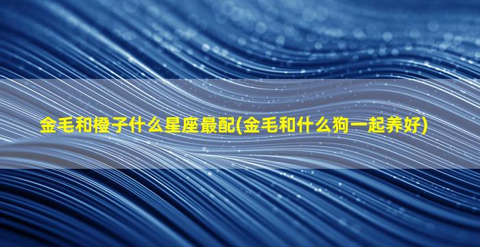 金毛和橙子什么星座最配(金毛和什么狗一起养好)