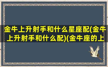 金牛上升射手和什么星座配(金牛上升射手和什么配)(金牛座的上升射手座)