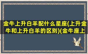 金牛上升白羊配什么星座(上升金牛和上升白羊的区别)(金牛座上升白羊座)