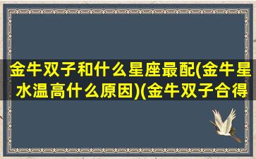 金牛双子和什么星座最配(金牛星水温高什么原因)(金牛双子合得来吗)