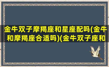 金牛双子摩羯座和星座配吗(金牛和摩羯座合适吗)(金牛双子座和射手摩羯座合适吗)