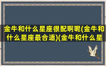 金牛和什么星座很配啊呢(金牛和什么星座最合适)(金牛和什么星座般配)