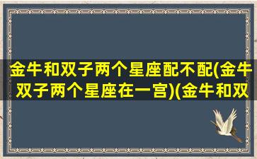 金牛和双子两个星座配不配(金牛双子两个星座在一宫)(金牛和双子星座配吗)