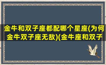 金牛和双子座都配哪个星座(为何金牛双子座无敌)(金牛座和双子配不配)