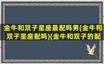 金牛和双子星座最配吗男(金牛和双子星座配吗)(金牛和双子的配对)