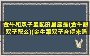 金牛和双子最配的星座是(金牛跟双子配么)(金牛跟双子合得来吗)