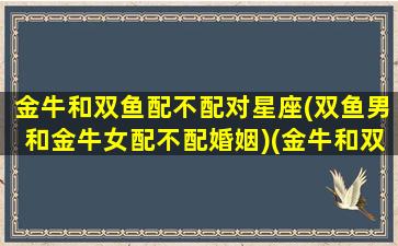 金牛和双鱼配不配对星座(双鱼男和金牛女配不配婚姻)(金牛和双鱼男匹配多少)