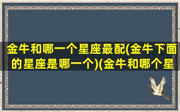 金牛和哪一个星座最配(金牛下面的星座是哪一个)(金牛和哪个星座般配)