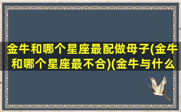 金牛和哪个星座最配做母子(金牛和哪个星座最不合)(金牛与什么星座合适)