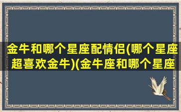 金牛和哪个星座配情侣(哪个星座超喜欢金牛)(金牛座和哪个星座最有缘)