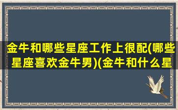 金牛和哪些星座工作上很配(哪些星座喜欢金牛男)(金牛和什么星座做朋友最好)