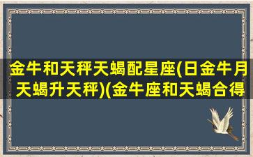 金牛和天秤天蝎配星座(日金牛月天蝎升天秤)(金牛座和天蝎合得来吗)