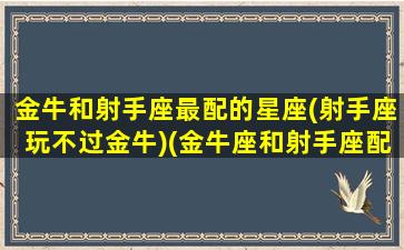 金牛和射手座最配的星座(射手座玩不过金牛)(金牛座和射手座配不配做情侣)