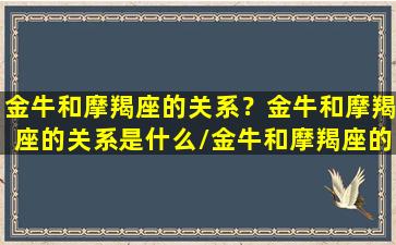 金牛和摩羯座的关系？金牛和摩羯座的关系是什么/金牛和摩羯座的关系？金牛和摩羯座的关系是什么-我的网站