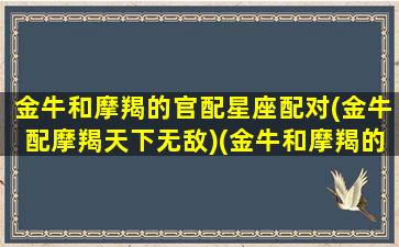 金牛和摩羯的官配星座配对(金牛配摩羯天下无敌)(金牛和摩羯的配对指数是多少)