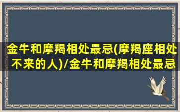 金牛和摩羯相处最忌(摩羯座相处不来的人)/金牛和摩羯相处最忌(摩羯座相处不来的人)-我的网站