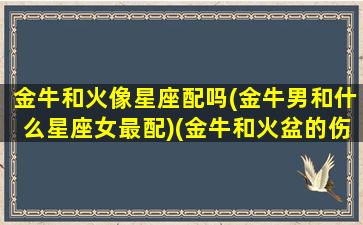 金牛和火像星座配吗(金牛男和什么星座女最配)(金牛和火盆的伤害对比表)